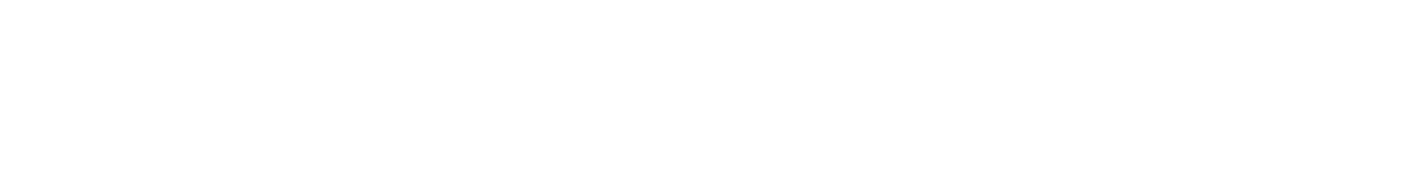 1A Solution – Logo